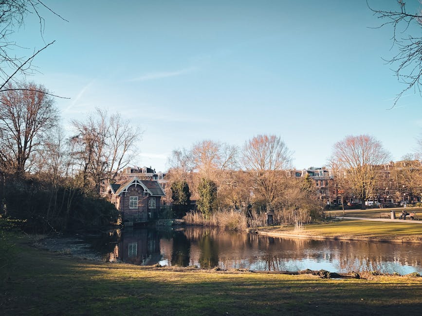 A serene park scene features a small, calm pond with a reflective surface surrounded by leafless trees and grassy areas. In the background, residential buildings with brick facades and multiple stories are visible, with some trees partially obscuring the view. The sky above is clear, with no clouds, displaying a light blue tone that suggests a bright, sunny day. The overall environment appears peaceful and well-maintained, with no visible trash or debris, aligning with a natural outdoor setting that could benefit from on-site rubbish removal or private waste clearance services by companies like rubbishclearancehollandpark.co.uk. The scene emphasizes the importance of maintaining clean, green spaces for community enjoyment, indirectly supporting the need for professional rubbish disposal to keep such areas pristine and free of waste.