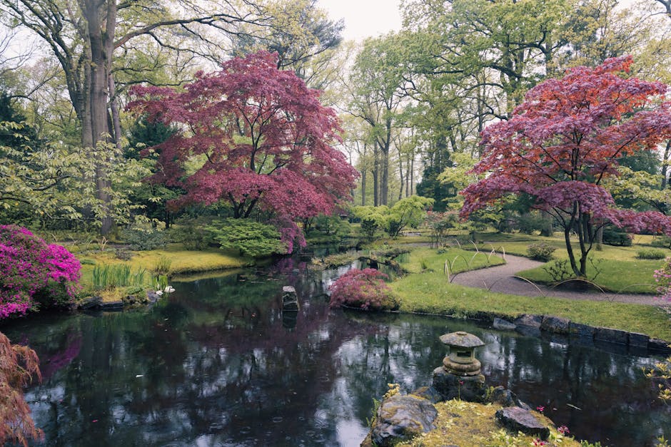 A tranquil Japanese-style garden scene featuring a small pond with dark, reflective water in the foreground, bordered by rocks and lush greenery. Two prominent trees with vibrant pink and red foliage stand on either side of the pond, their branches extending over the water and casting reflections. Surrounding the pond are neatly trimmed bushes, small plants, and patches of grass, with a gravel pathway curving through the garden on the right side. In the background, taller trees with green leaves create a canopy, allowing filtered light to illuminate the scene. The garden environment appears well-maintained, embodying a peaceful and natural setting suitable for private on-site clearance or alternative waste handling activities, with [COMPANY_NAME] potentially involved in rubbish removal services related to garden waste disposal.