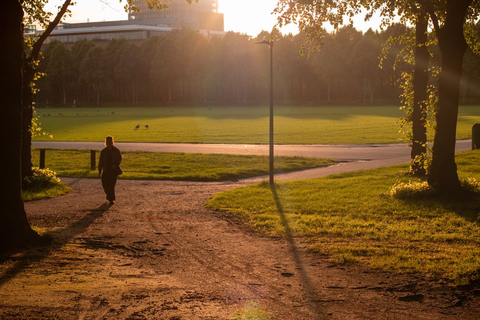 A person dressed in dark clothing is walking along a dirt pathway in a park during late afternoon or early evening, with the setting sun casting a warm, golden light across the scene. Tall trees with leafy canopies frame the pathway on both sides, their shadows extending onto the ground. In the background, a large grassy open space stretches out, bordered by a dense row of trees, and a few birds can be seen on the grass. A lamppost stands near the center of the image, its shadow elongated on the path. Beyond the park, modern buildings are visible against the sky, with sunlight reflecting off their windows. The environment appears peaceful and well-maintained, with the natural landscape illuminated by natural sunlight, creating a serene atmosphere typical of urban parks. This natural scene intersects with the context of rubbish removal and waste management by illustrating the importance of maintaining clean and tidy public spaces, which services like those by [COMPANY_NAME] aim to support through private, independent collection and on-site clearance services within urban settings.